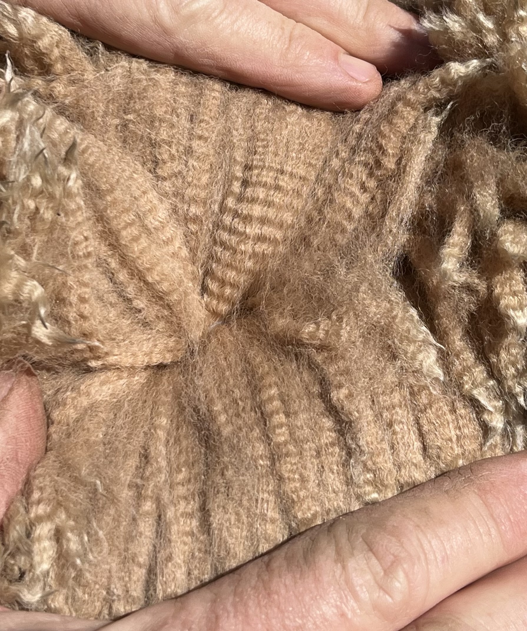 Photo of LILLYFIELD RUNAWAY's fleece