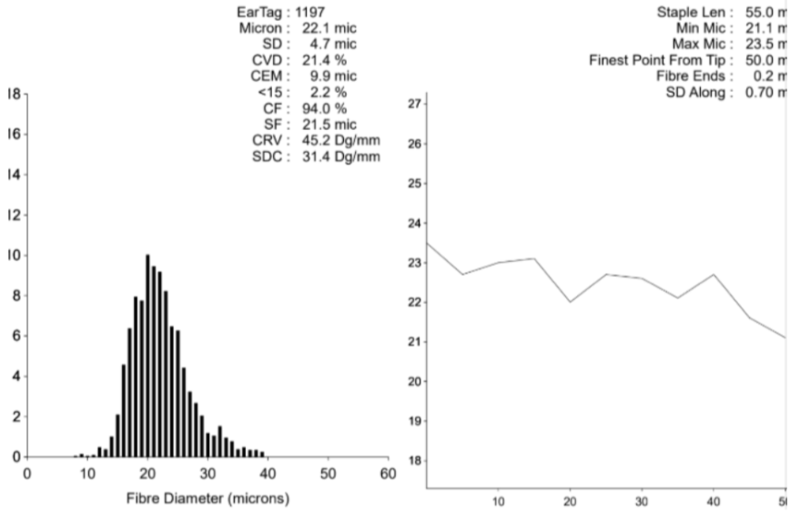 Photo of BARDELLA PARK REXANNE's fleece