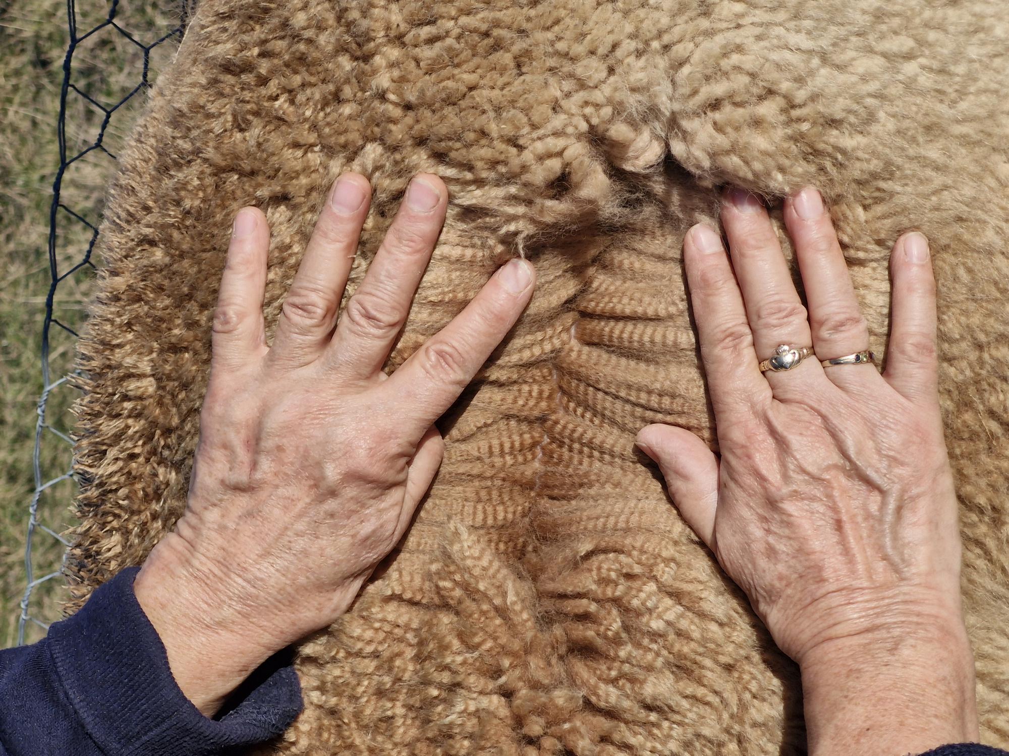 Photo of GIAGINYE NOOK's fleece