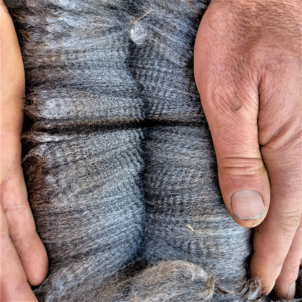 RAINBOWS END TORNADO's fleece