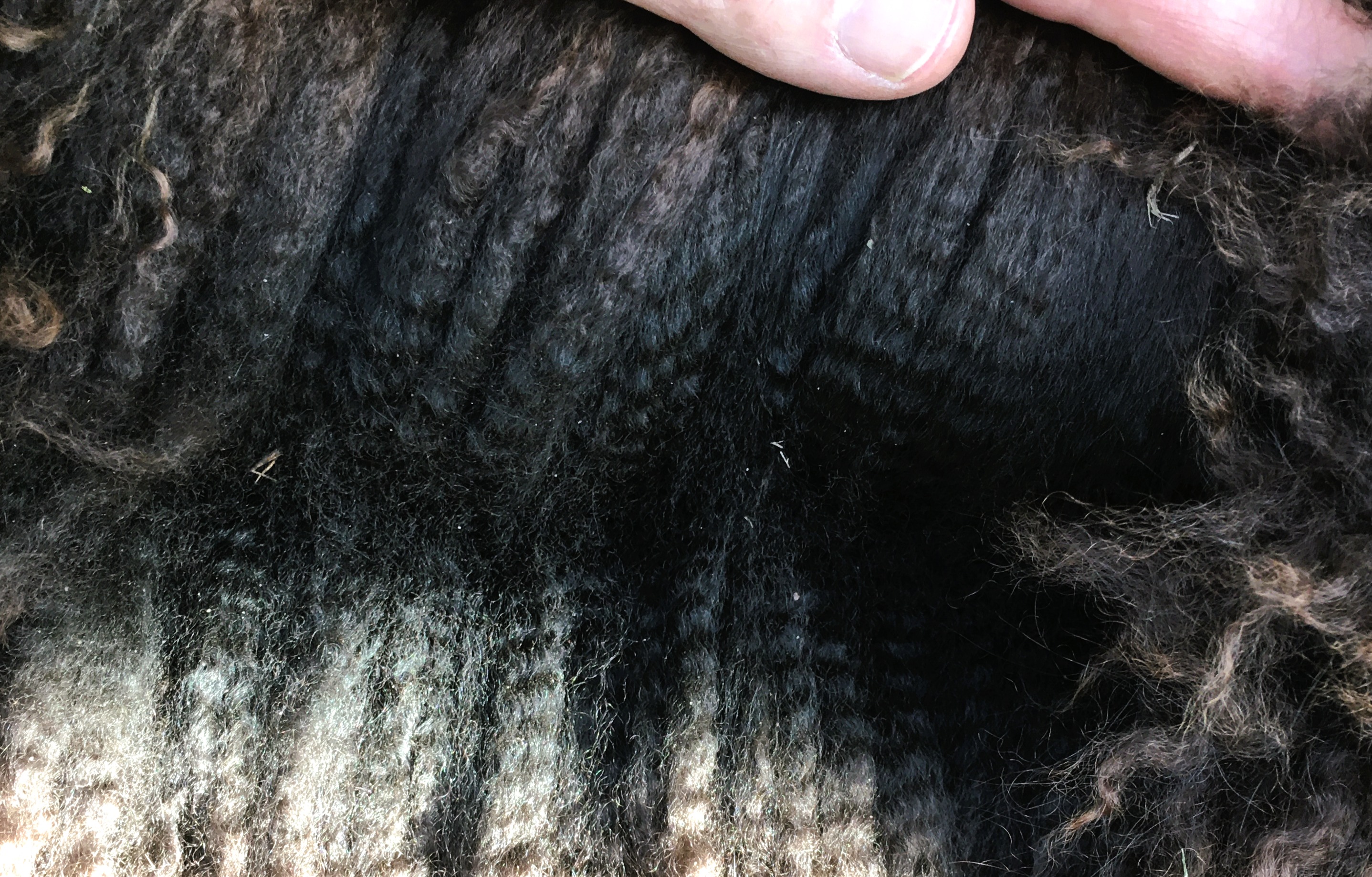 Photo of HAYLILLA BESPOKE's fleece