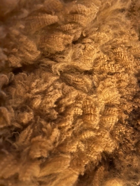 Photo of YENAMINUT NALLENE's fleece