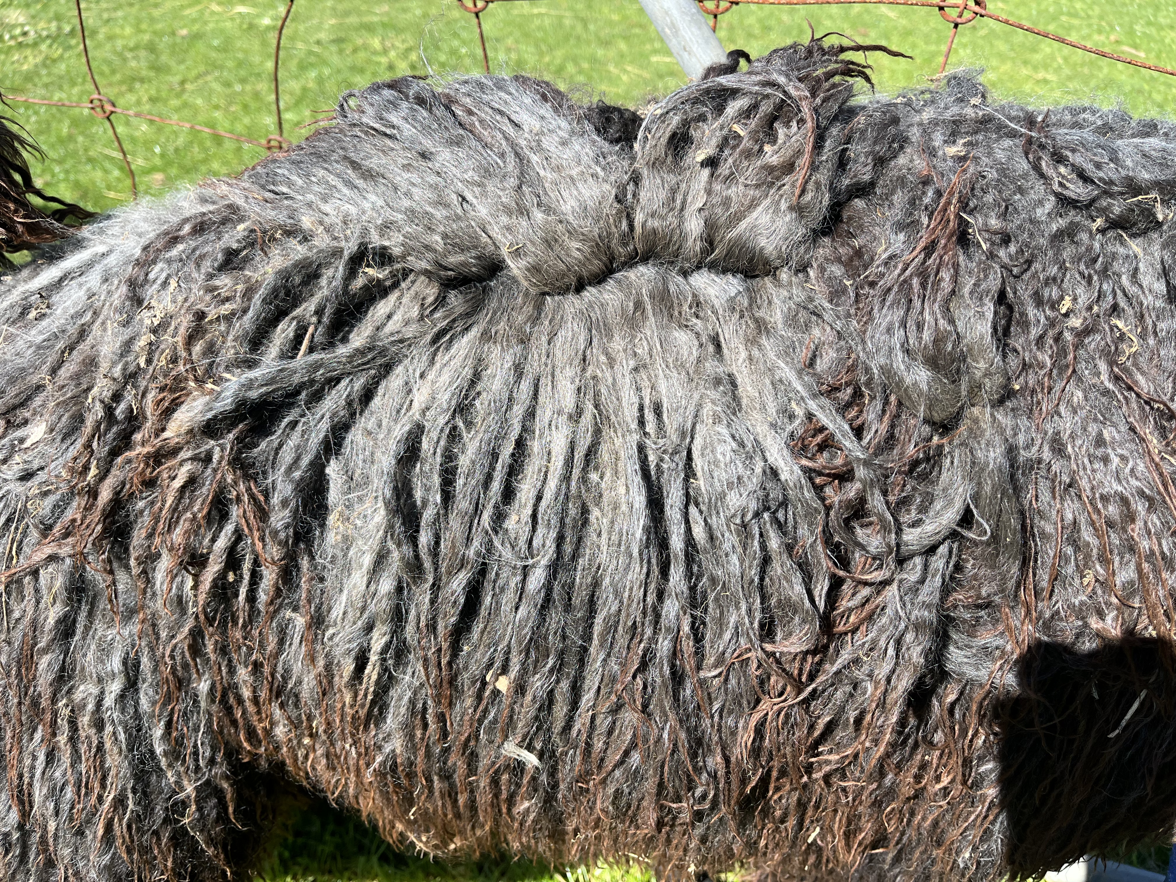 Photo of BOOLAROO NOMAD's fleece