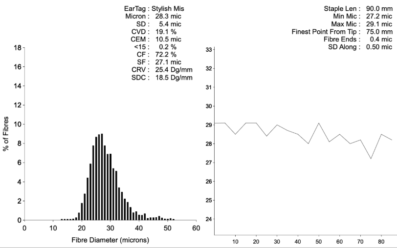 Photo of EVOLUTION STYLISH MISS's fleece