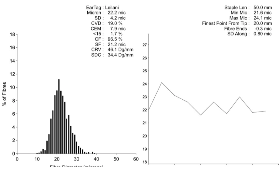 Photo of DUNDREUGAN LEILANI's fleece