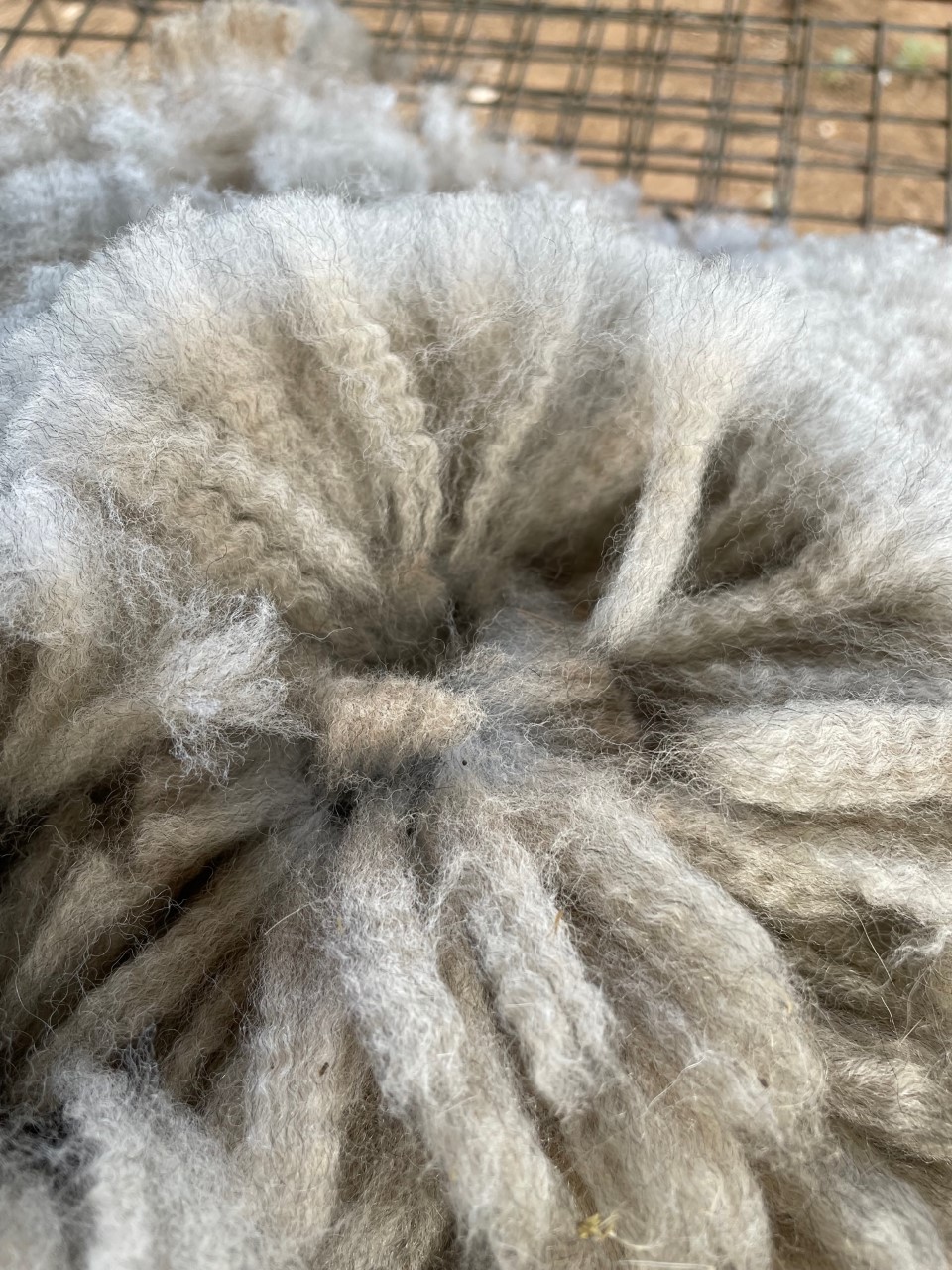 Photo of ARCADY PELE's fleece
