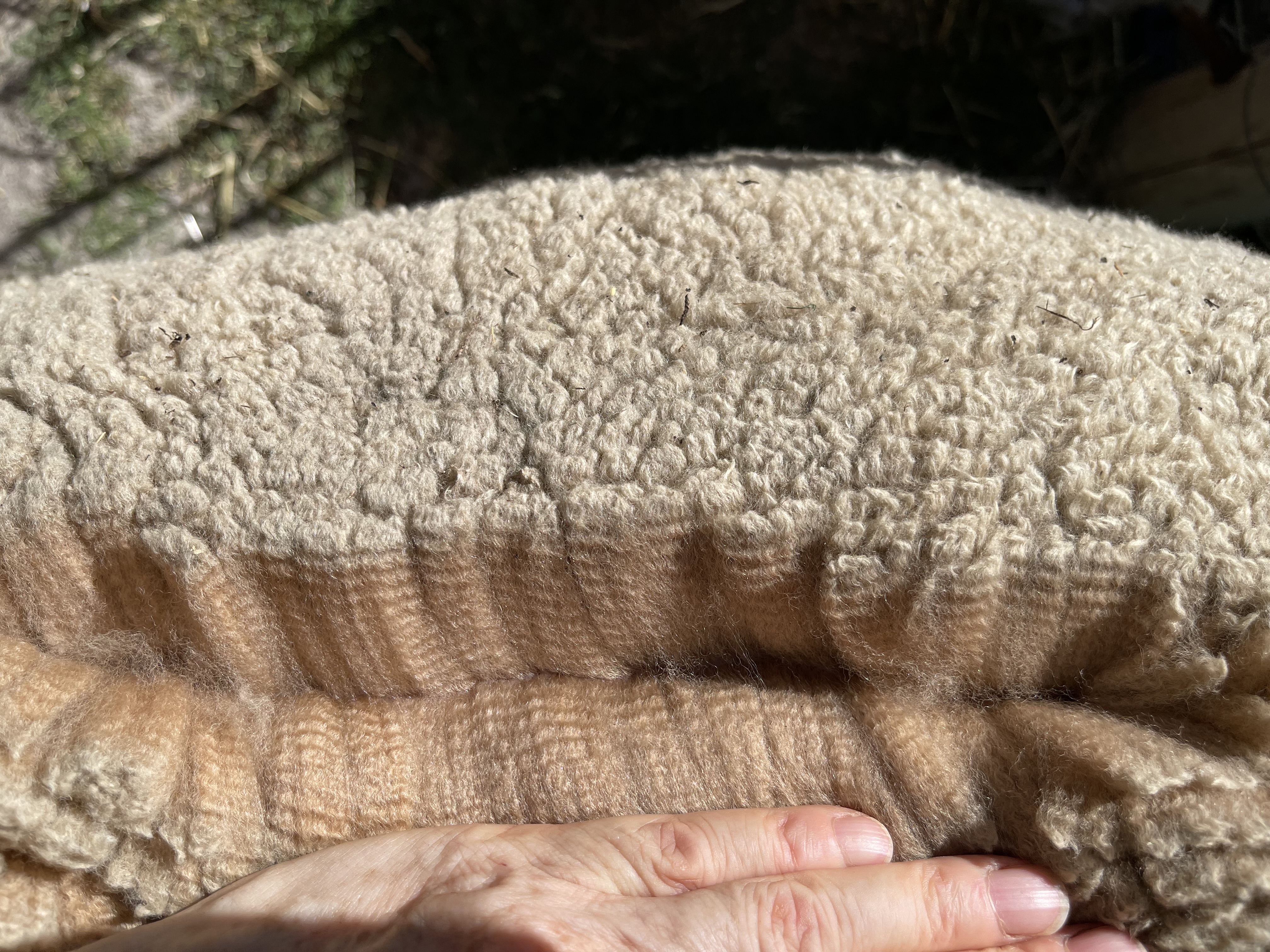 Photo of ALCATRAZ GANGBUSTER's fleece