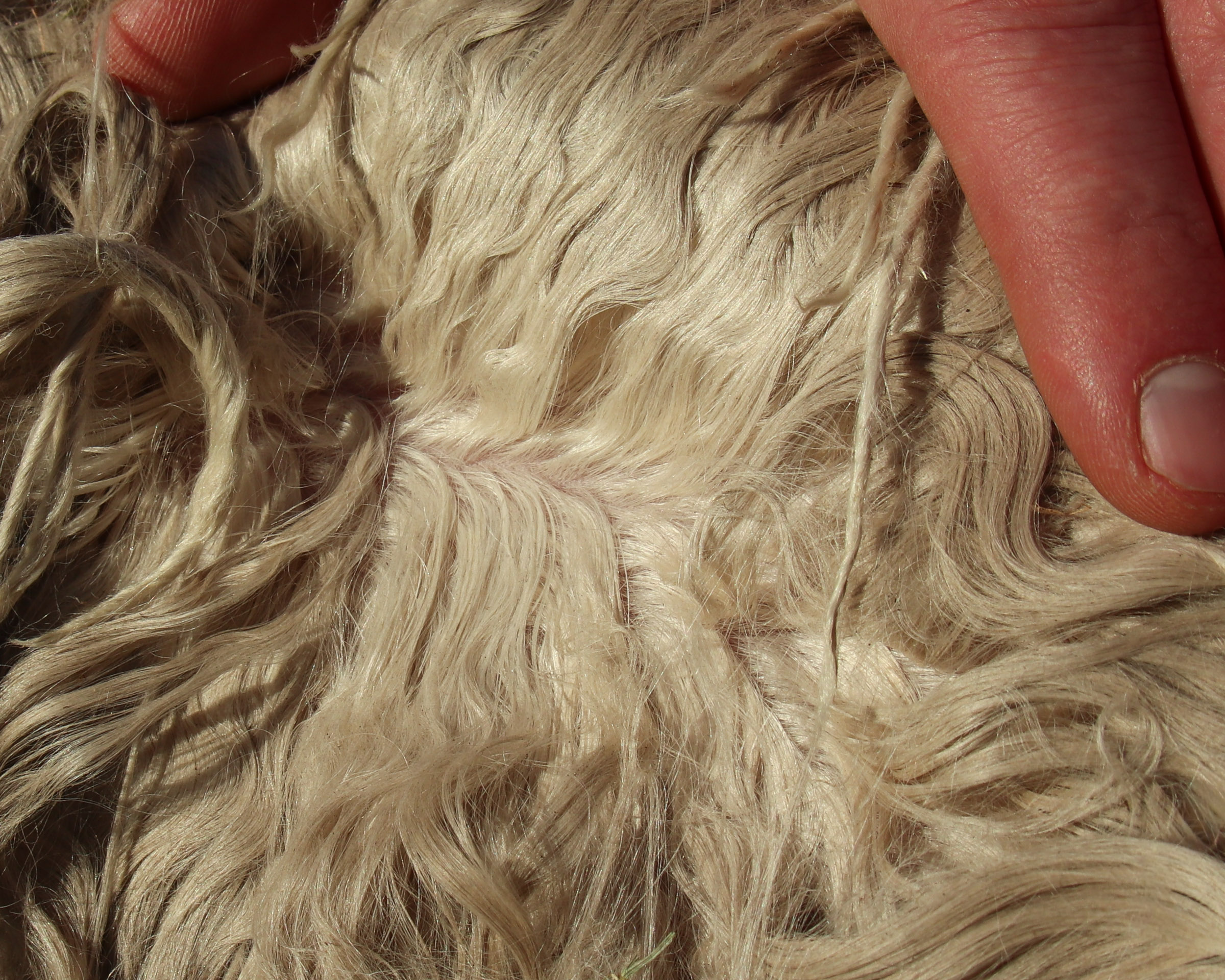 WAYSTONE VIGGO's fleece
