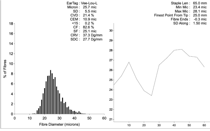 Photo of MILLDUCK VEE-LOU LOU's fleece