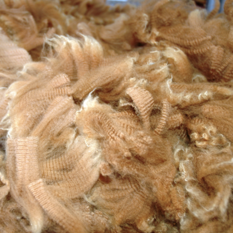 Photo of MILLDUCK YOU BETCHA's fleece