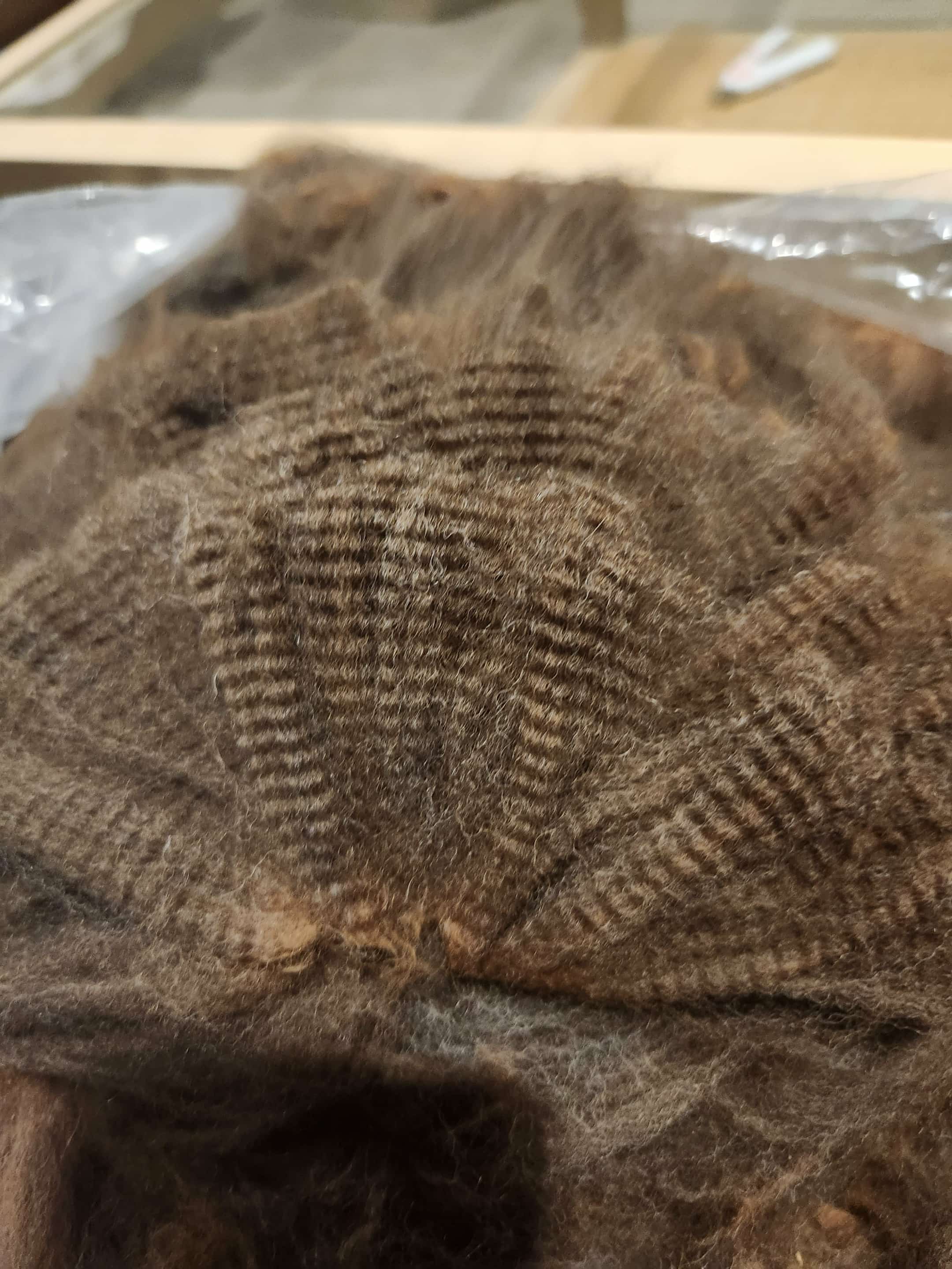 Photo of ARCADY ON FIRE's fleece