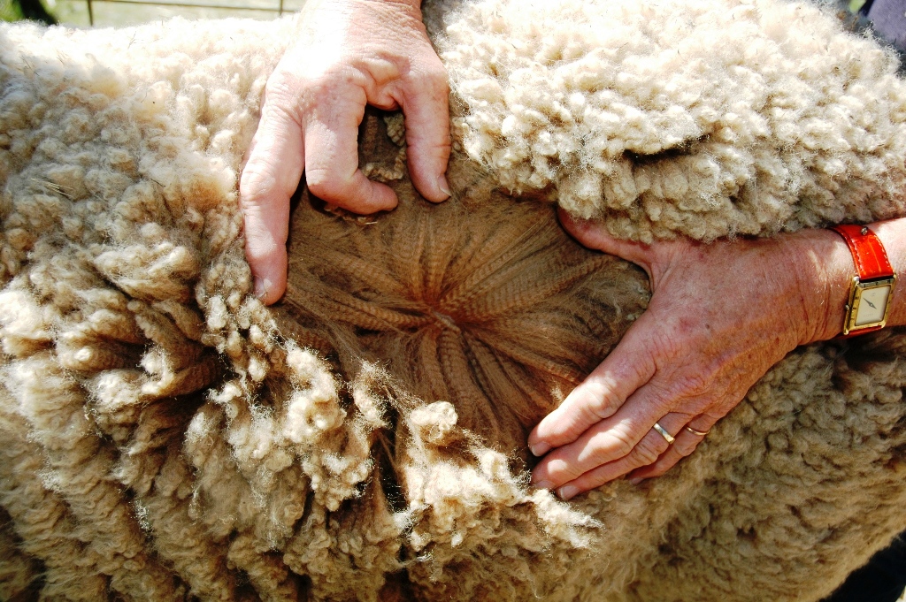 Photo of PENTLAND GIORGIO's fleece