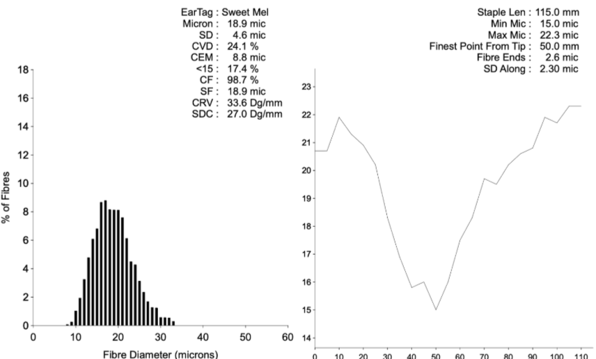 Photo of ALPACASONTHEHILL SWEET MELODY's fleece