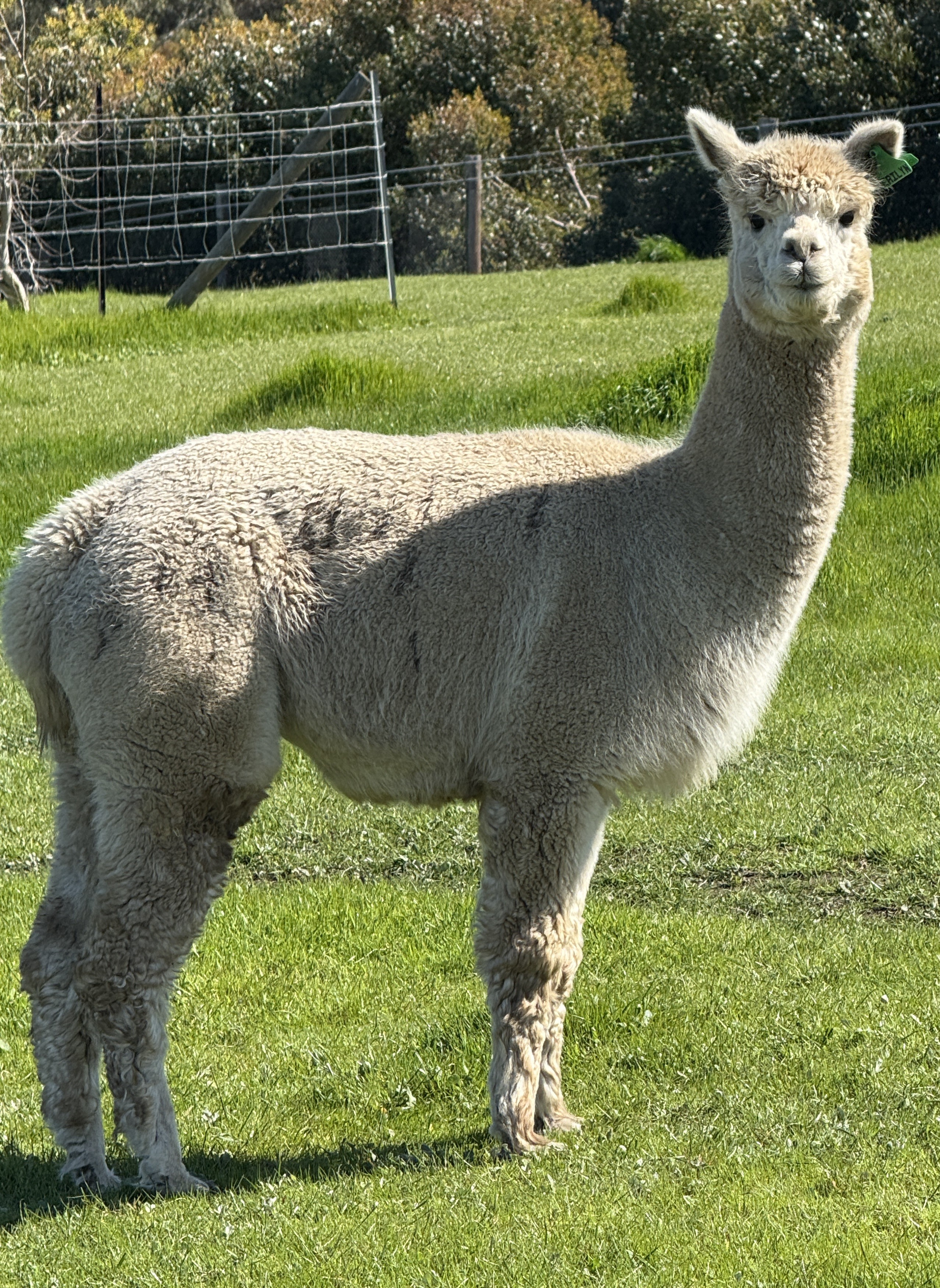 Photo of ERILYN