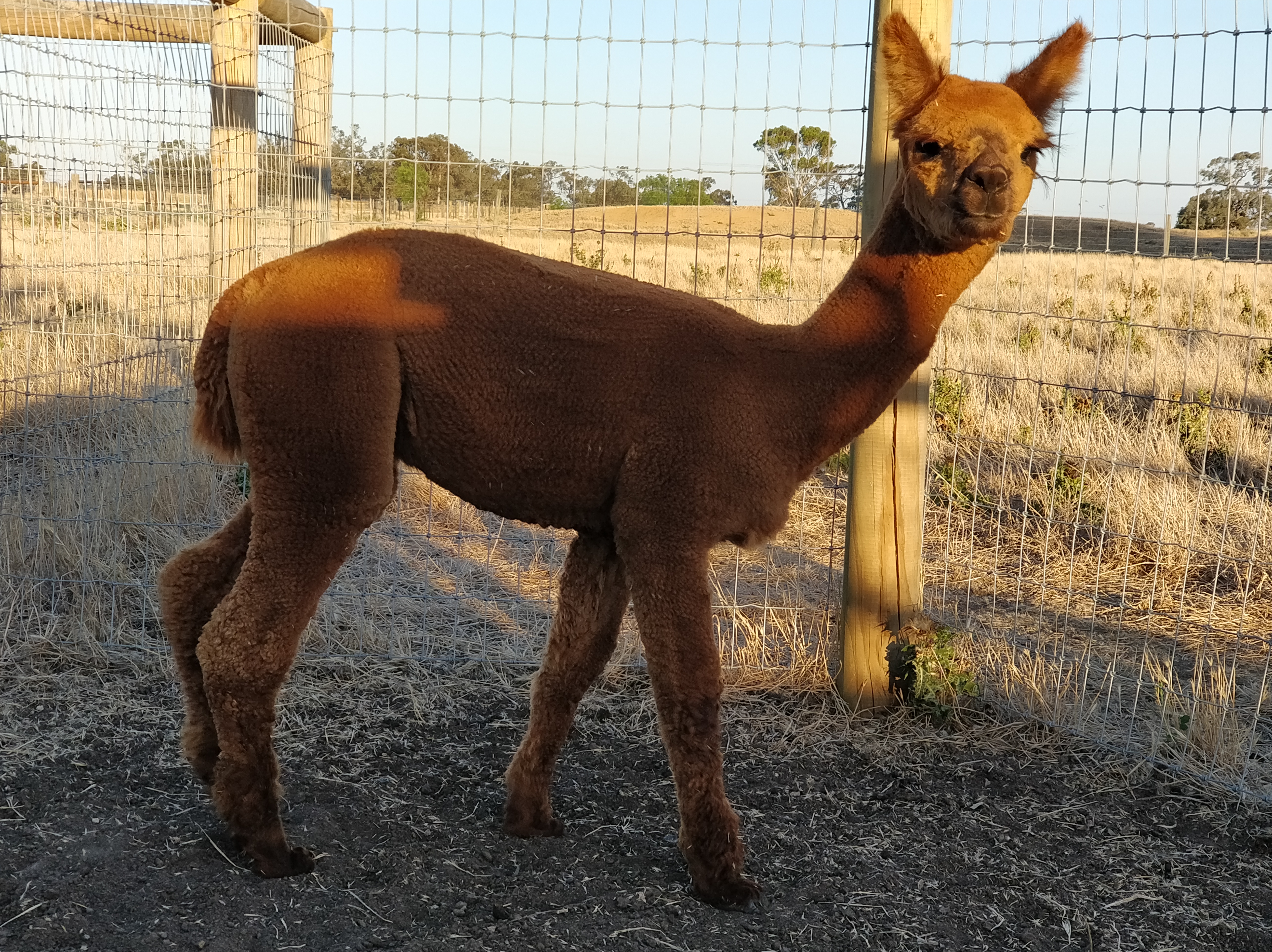 Photo of MYLA
