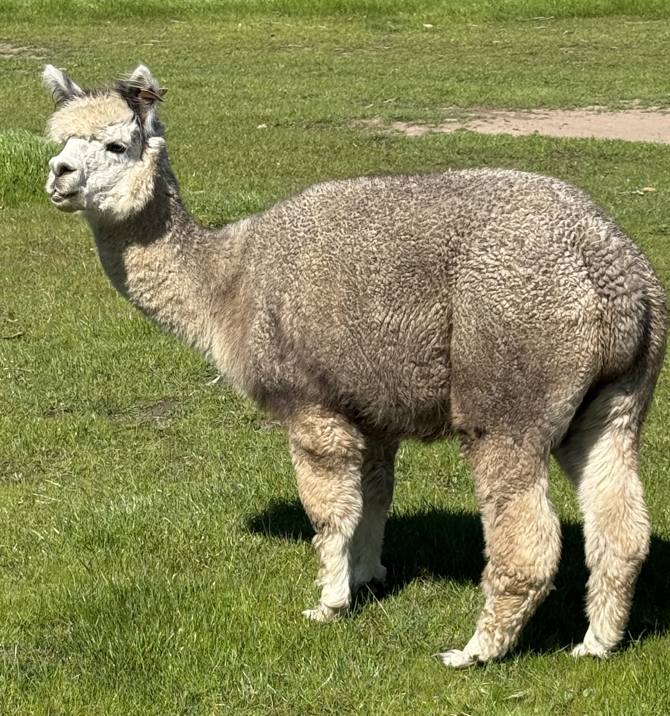 Photo of AZTEC