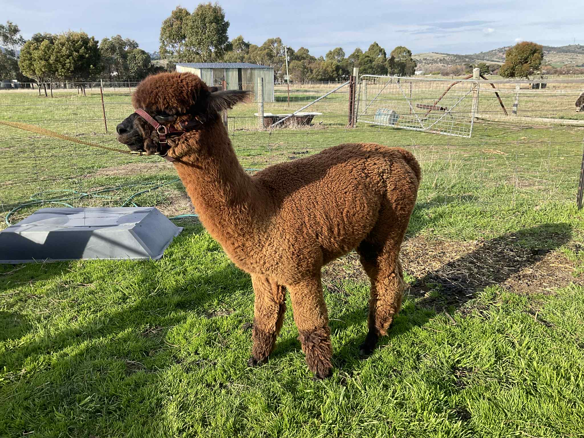 Photo of PACARI